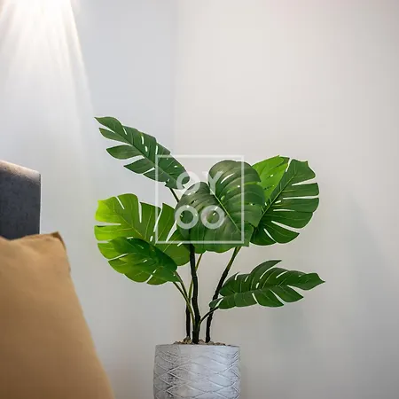 Infinity Blue Luxury Flat By Oyoostays Апартаменты Торевьиа