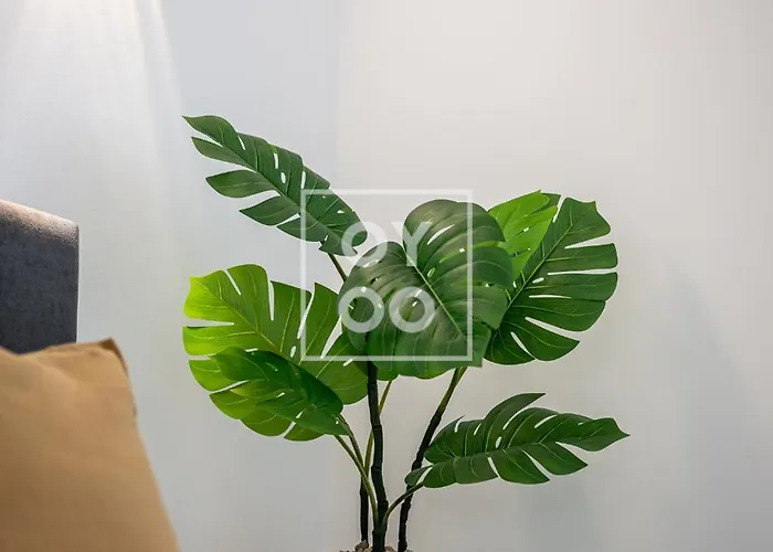 Infinity Blue Groundfloor Apt, Beachfront, Heated Pool - By Oyoostays Appartement Torrevieja